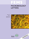 FEMS MICROBIOLOGY LETTERS雜志封面